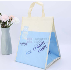 防水保溫保冷環保袋－2H-RB-0148