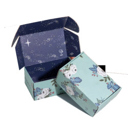 雙面彩盒-2H-BOX-003