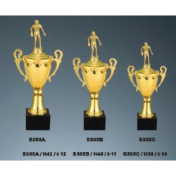 獎盃2H-TH-S305