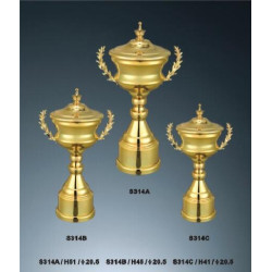 獎盃2H-TH-S314
