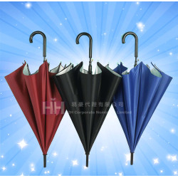 最受歡迎直傘－2H-UM-049