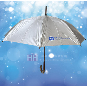 直身木手柄雨傘－2H-UM-058