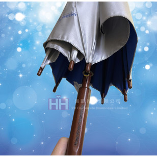 直身木手柄雨傘－2H-UM-058